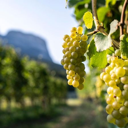 Schmitte Am Sonnenwirtsplatz Eppan In South Tyrol Apartment Appiano Sulla Strada Del Vino Ngoại thất bức ảnh