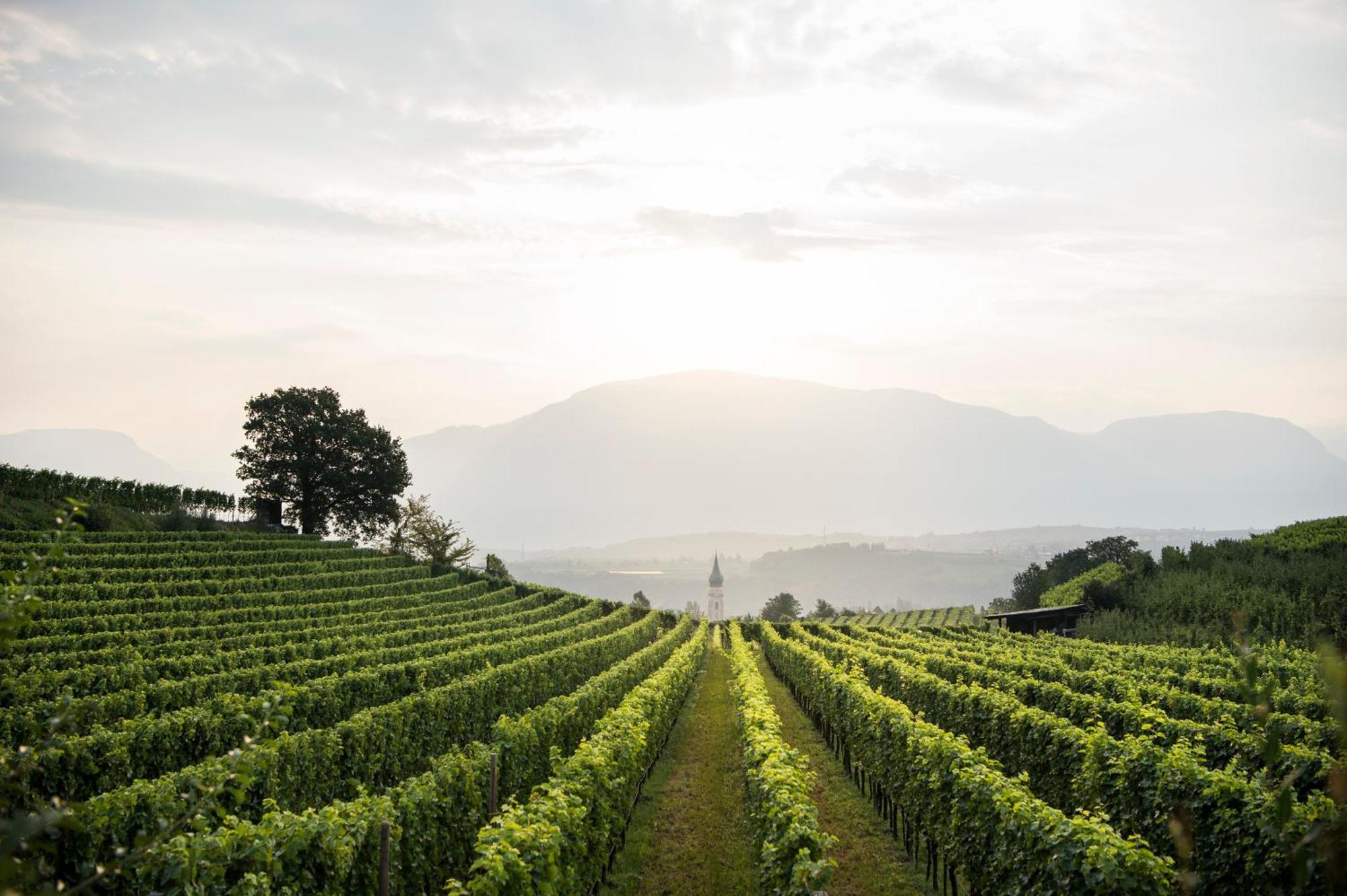 Schmitte Am Sonnenwirtsplatz Eppan In South Tyrol Apartment Appiano Sulla Strada Del Vino Ngoại thất bức ảnh