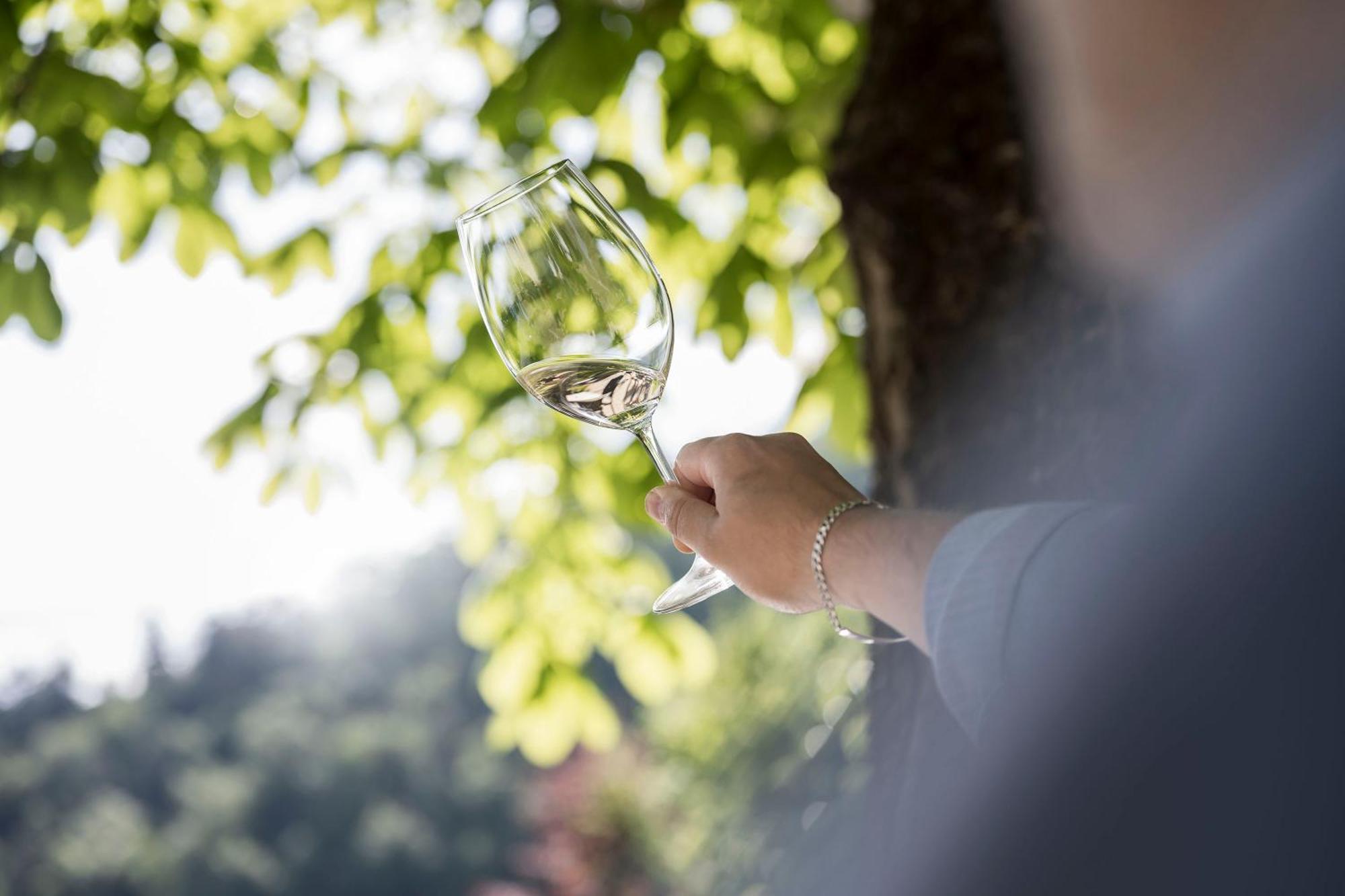 Schmitte Am Sonnenwirtsplatz Eppan In South Tyrol Apartment Appiano Sulla Strada Del Vino Ngoại thất bức ảnh