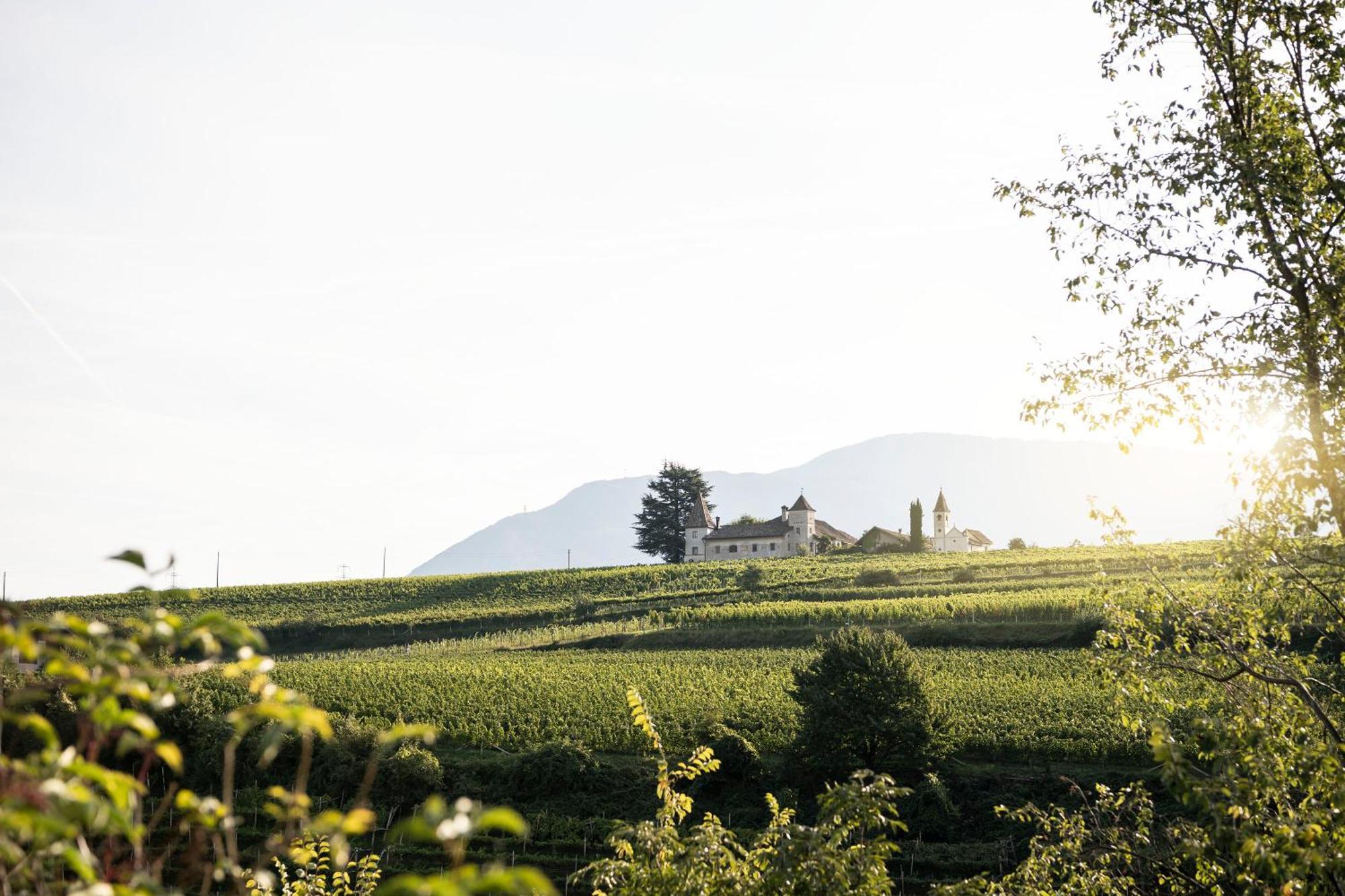 Schmitte Am Sonnenwirtsplatz Eppan In South Tyrol Apartment Appiano Sulla Strada Del Vino Ngoại thất bức ảnh